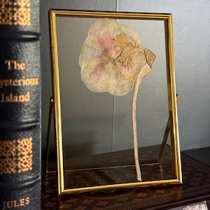 Pressed floral art, anemone, baby shower flowers, Chelsey Walker Creative, 2025