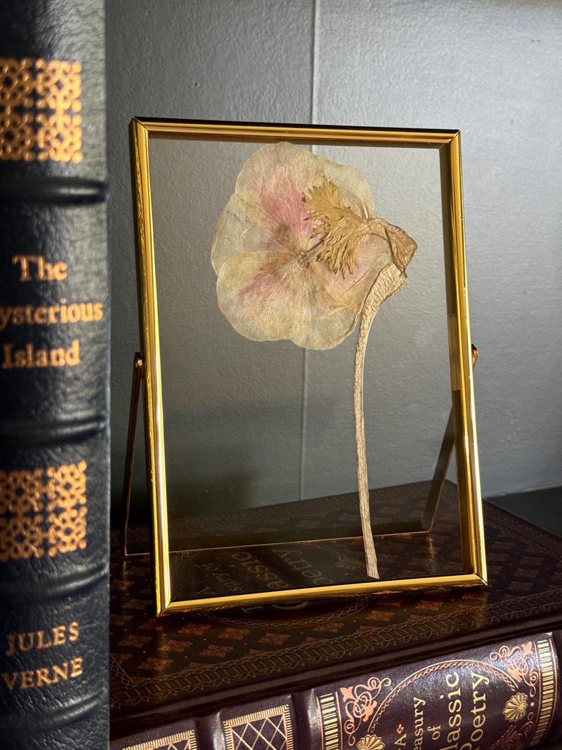 Pressed floral art, anemone, baby shower flowers, Chelsey Walker Creative, 2025
