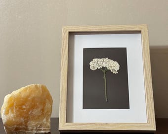 Dried Flower, Art, Flowers, Flower Preservation, Gift, Shadow Box, Rice Flower