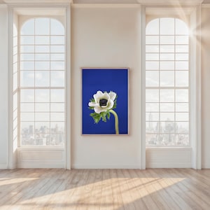 Flower, Photography Print, Anemone, Wall Art Print, Flower Art, Fine Art