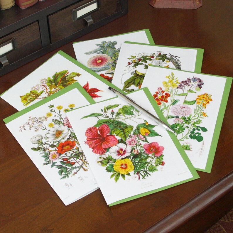 Set of 6 Cards W/ Colored Envelopes 5x7 Greeting Card Set Etsy