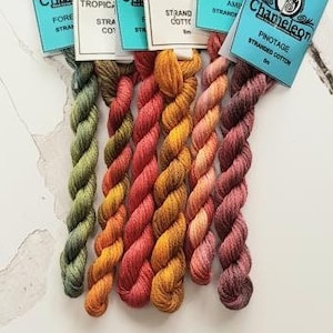 May include: Six skeins of Chameleon stranded cotton thread in various colors, each with a label. The colors range from green to reddish-brown, with labels reading "Forest", "Tropical", "Strand Cotton", and "Pinotage". The skeins are arranged vertically.