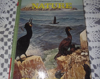 Livre illustré vintage de la nature de la bibliothèque, vol. 4...Oiseaux - Vie troglodytique ..Informations importantes dans la description