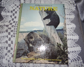 Vintage geïllustreerd bibliotheekboek van de natuur..Vol. 8. Insecten en zoogdieren.....Belangrijke informatie in de beschrijving
