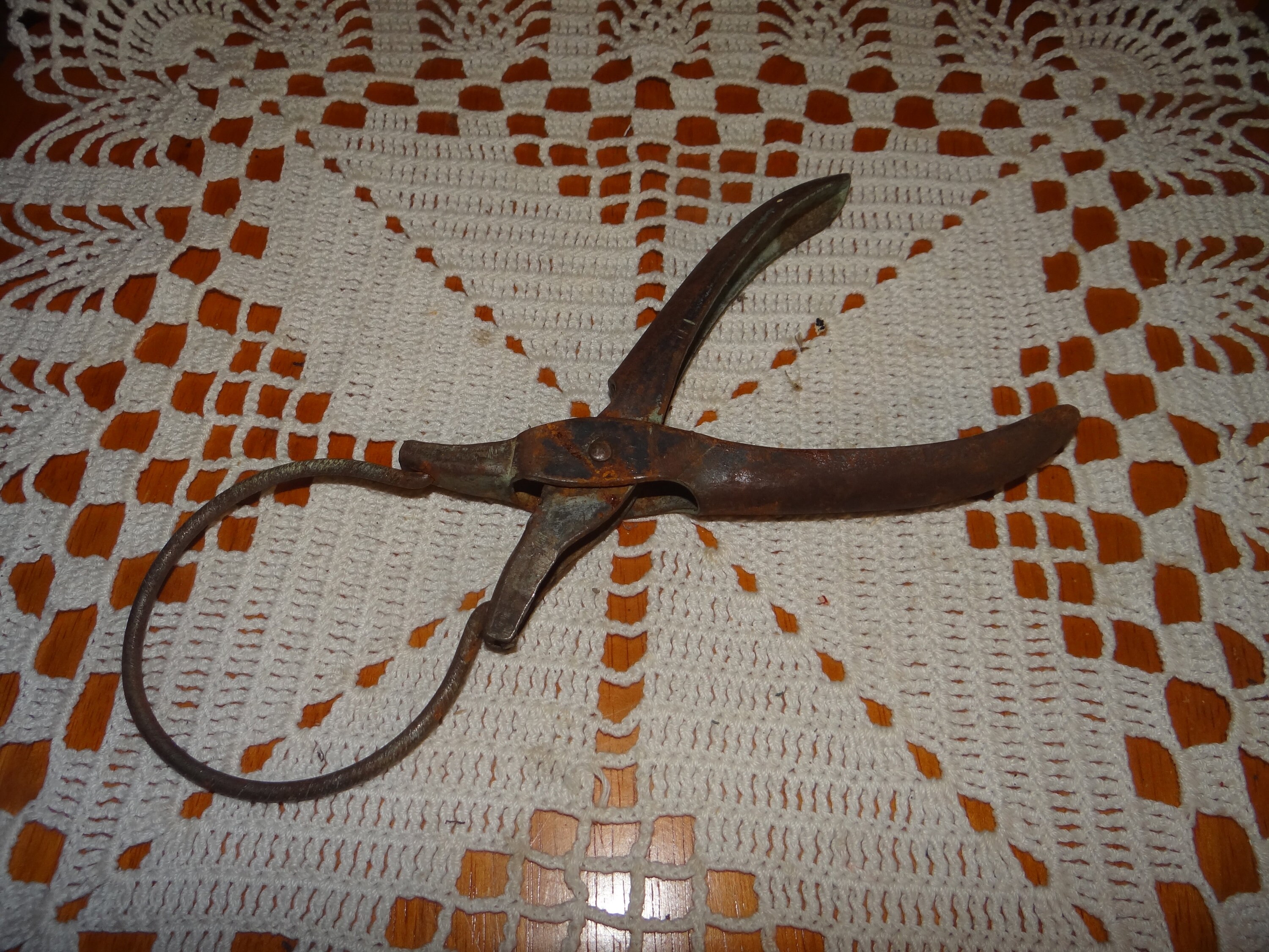 Antique Jar Opener for sale Only 4 left at 65