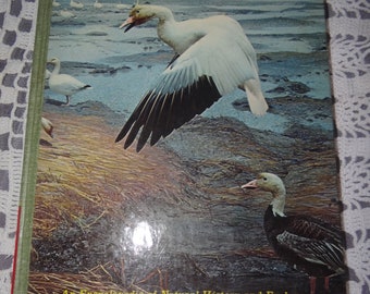 Livre illustré vintage de la nature de la bibliothèque, vol. 3.. Monde animal --Oiseaux ..Informations importantes dans la description