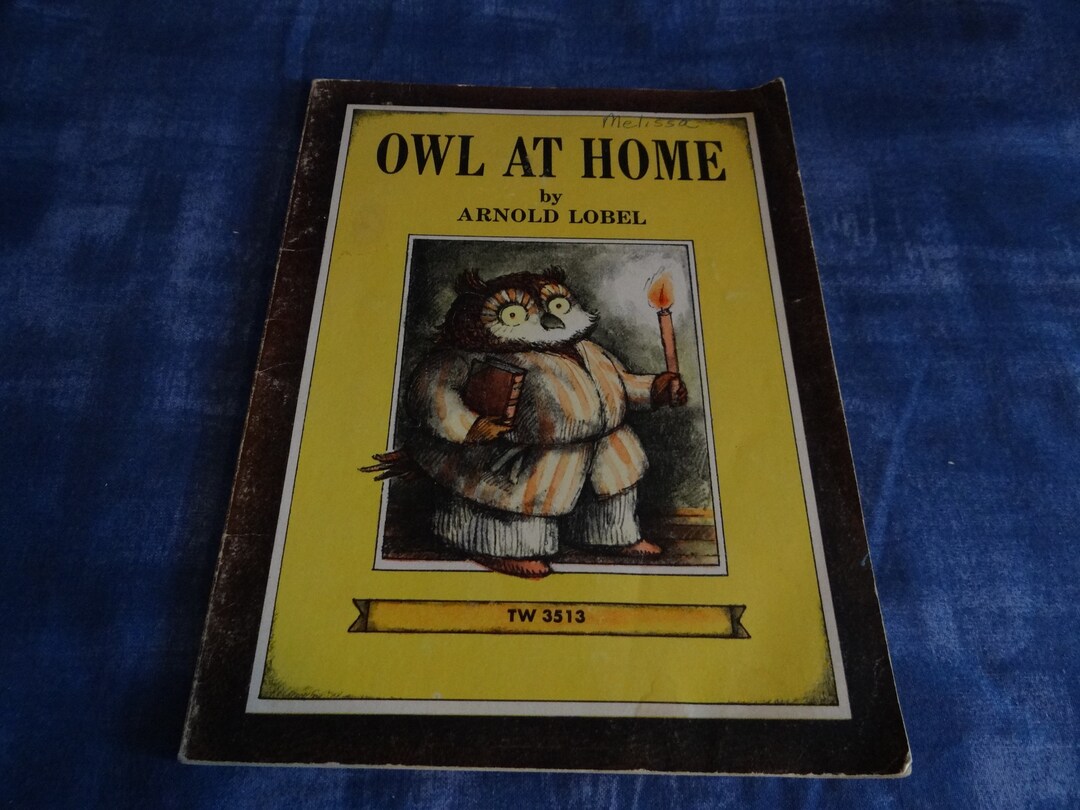 Vintage Children's Book Owl at Home by Etsy