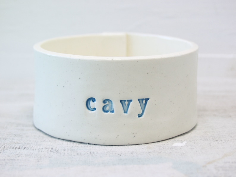 guinea pig food dish