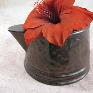 May include: A dark brown ceramic jug with a single red amaryllis flower in it.