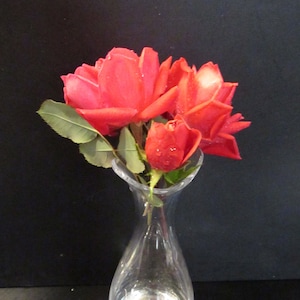 May include: A bouquet of red roses in a clear glass vase. The roses are arranged in a cluster with their stems extending down into the vase. The vase is tall and slender, with a rounded base and a narrow neck.