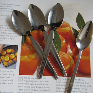 Vintage Grapefruit Citrus Spoons Mid Century  Style EACH Citrus Spoon Stainless Flatware