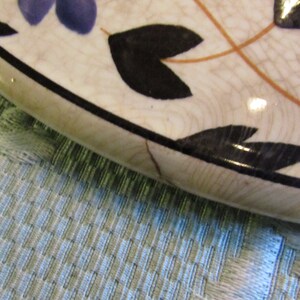 May include: Close-up of a section of a ceramic plate with a floral design. The plate has a white background with a network of fine cracks. Black leaves and blue flower accents are visible, along with orange stems. The rim is black.
