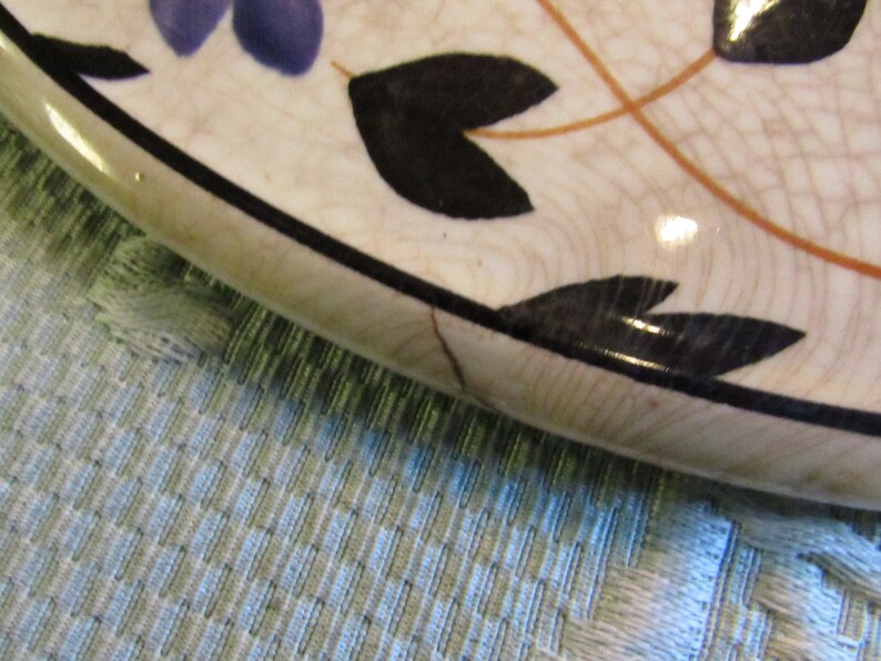 May include: Close-up of a section of a ceramic plate with a floral design. The plate has a white background with a network of fine cracks. Black leaves and blue flower accents are visible, along with orange stems. The rim is black.