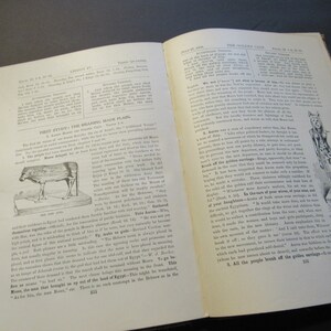 Pu&ograve; includere: Un libro aperto con illustrazioni e testo in bianco e nero. Il libro &egrave; aperto alle pagine intitolate "Primo studio: Il significato reso chiaro" e "Il vitello d'oro". Il testo tratta della storia degli Israeliti e del loro viaggio fuori dall'Egitto.
