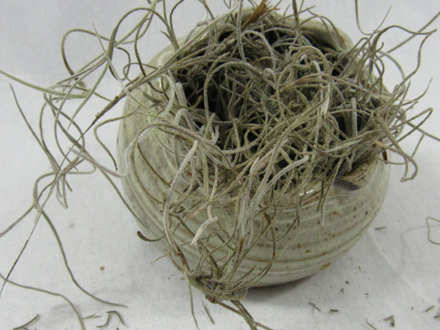 Vintage Planter NC Pottery Indoor Outdoor Speckled