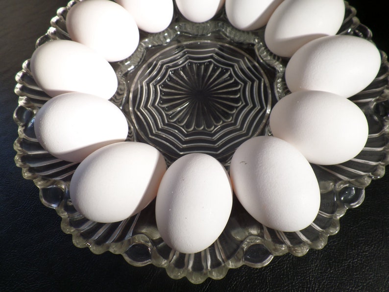 Vintage Pressed Glass Deviled Egg Plate Oyster Relish Dish image 1