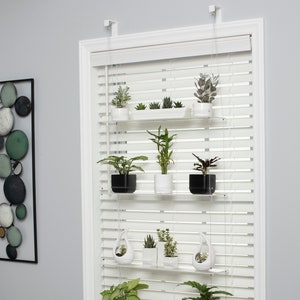 Window Plant Shelf Hanging Shelf Acrylic Plant Shelves Plant Stand image 6