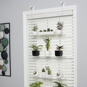 May include: A white hanging shelf system with three tiers, holding various potted plants. The shelves are made of clear acrylic and are suspended from the ceiling with white cords. The shelves are mounted in front of a white window with blinds.