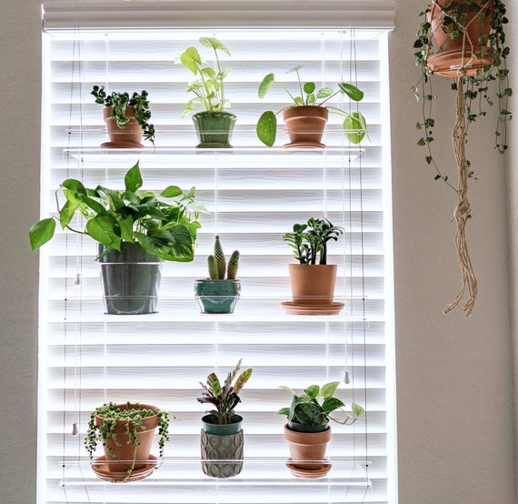 to Store and Show Off Small Collectibles 4 Shelf Figurines Mugs mDesign Round Metal Wall Mount Display Organizer Holder Black/Natural Succulent Plants to Store and Show Off Small Collectibles 4 Shelf Figurines Mugs mDesign Round Metal Wall Mount Display Organizer Holder Black/Natural Succulent Plants