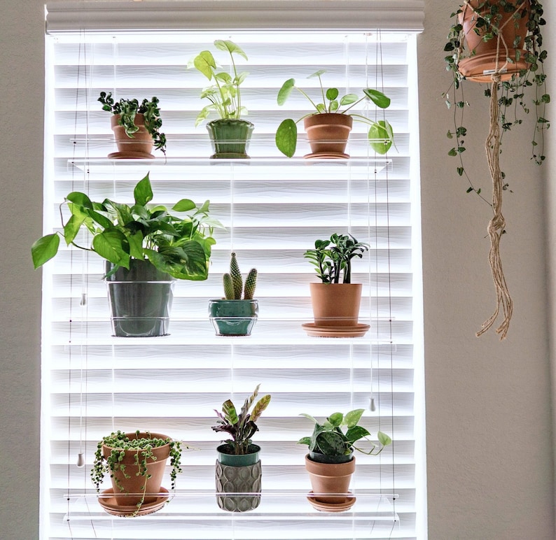 Window Plant Shelf Hanging Shelf Acrylic Plant Shelves Plant Stand image 5