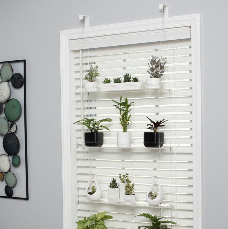 May include: A white hanging shelf system with three tiers, holding various potted plants. The shelves are made of clear acrylic and are suspended from the ceiling with white cords. The shelves are mounted in front of a white window with blinds.