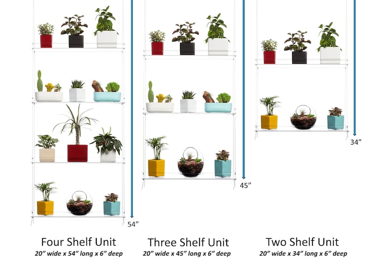 May include: Three different sizes of wall-mounted plant shelves. The shelves are made of metal and have a clear finish. The shelves are shown with various plants in pots. The shelves are 20 inches wide and 6 inches deep. The four-shelf unit is 54 inches long, the three-shelf unit is 45 inches long, and the two-shelf unit is 34 inches long.