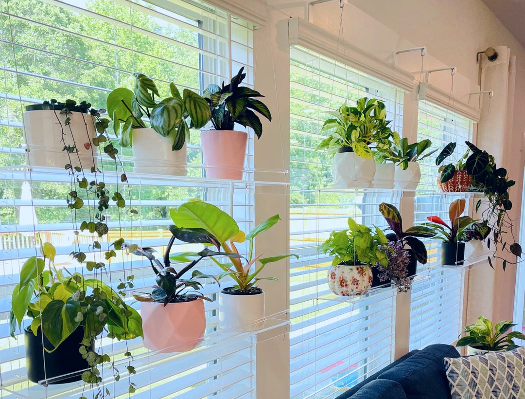 Herb Plant Stand from a Stand Up Shower Caddy