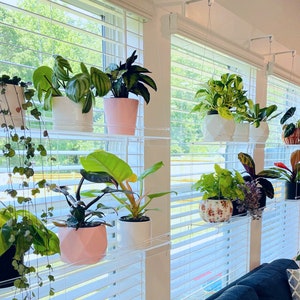 Window Plant Shelves by Beautiful Views on 5" Extension Mounts.