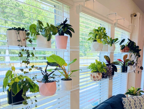 16 Wide, 2 Shelves - 30 Tall Window Plant Shelves Easy-Adjust Window Plant Shelf Acrylic Hanging Shelves Window Shelf with Plastic Covered Steel Cord 