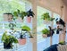 Window Plant Shelf | Hanging Shelf | Acrylic Plant Shelves | Plant Stand 
