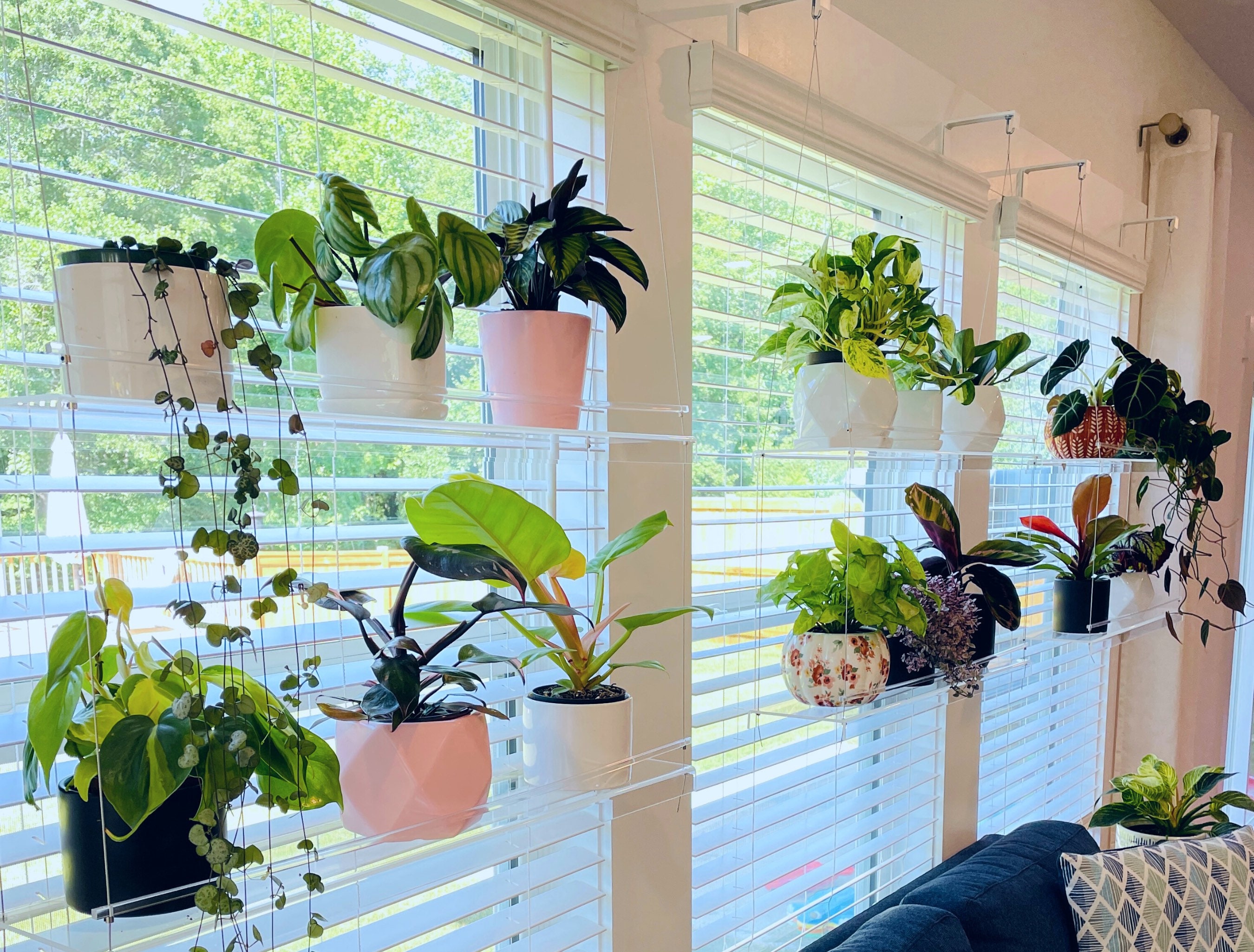 Étagère De Plantes Fenêtre | Étagère Suspendue Étagères Acryliques Stand Plantes
