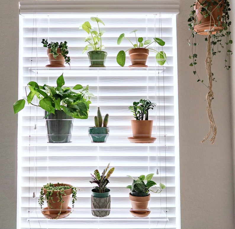 Window Plant Shelf Hanging Shelf Plant Shelves Plant Etsy
