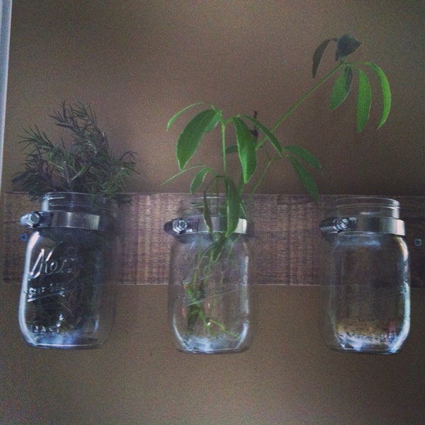 Mason jar wall planter/ organizer