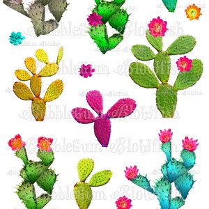 Las imágenes de hojas de collage PNG digitales de FuNkY CoLoRfUL FlOraL CacTuS NO se separan individualmente