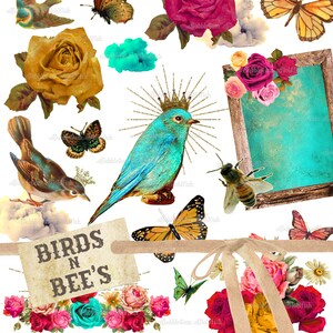 Clipart digital de Birds n Bee definido em duas folhas de colagem Png individuais NÃO separadas individualmente
