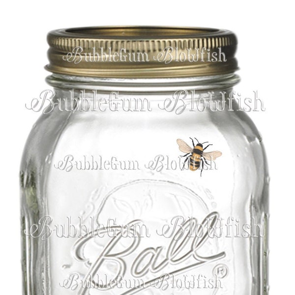 Mason Jar with Bee's individual PNG file digital clipart download