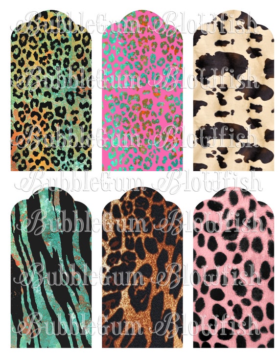 Cheetah print tags pattern splash  frames Digital clipart single file PNG collage sheet these images are NOT separated