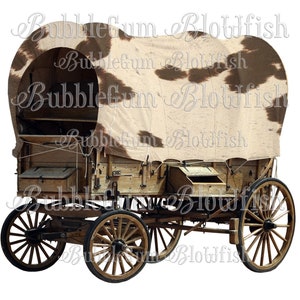 GyPsy WaGoN CoWHiDe cow print individual PNG file digital clipart download
