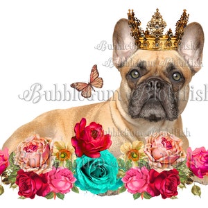 Süßer Pup Frenchie Französische Bulldogge Krone Rosen individuelle PNG Datei digitale Clipart download tatsächliche Dateigröße ist ca. 1900x1500 Pixel