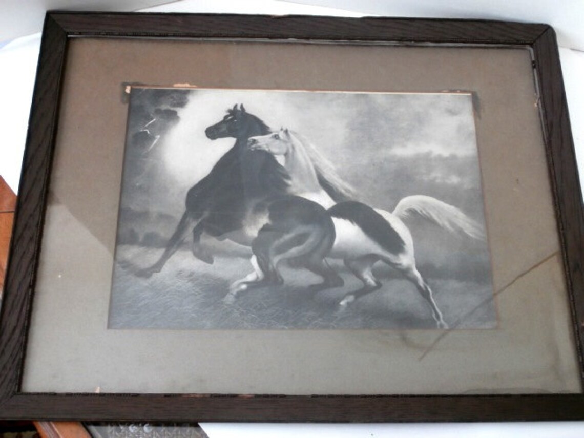 Antique Print Spirited Horses by LeRoy Circa 1900 Etsy