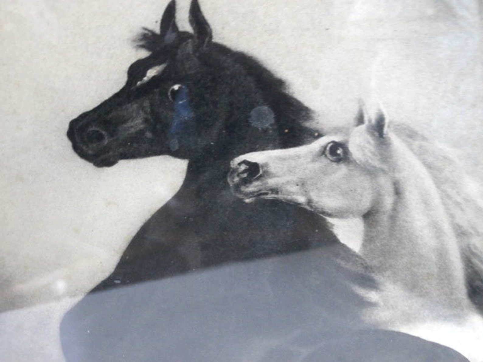 Antique Print Spirited Horses by LeRoy Circa 1900 Etsy