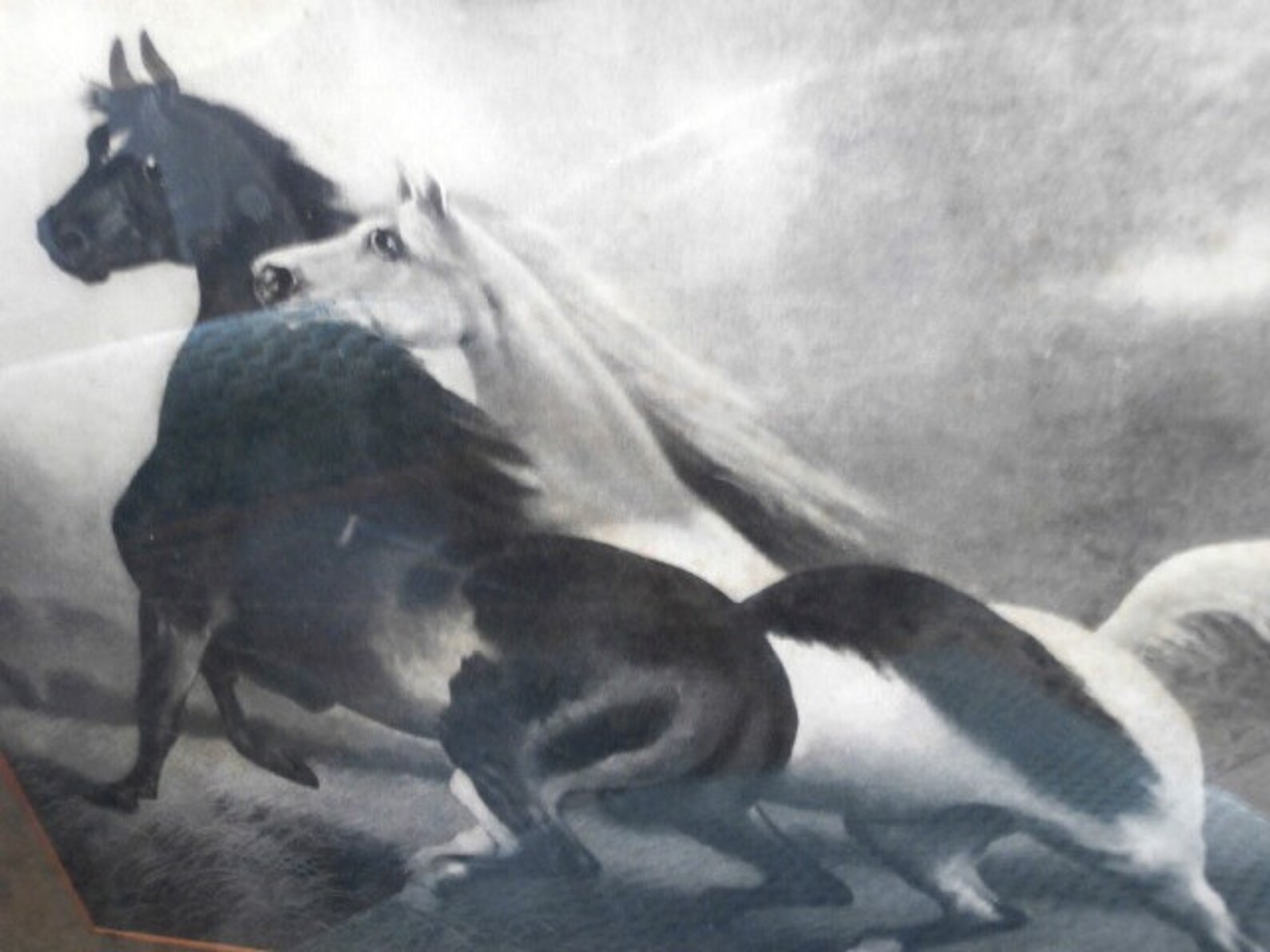 Antique Print Spirited Horses by LeRoy Circa 1900 Etsy