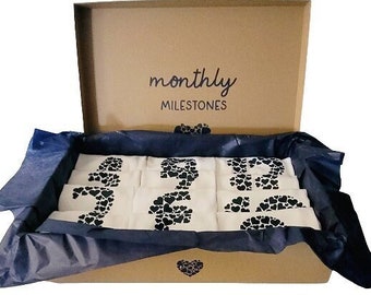 Monthly Milestone Bodysuits Set, Monthly Milestone Bodysuits, Babys First Year, Baby Shower Gift, Baby Gift, Babys First Milestones, Baby