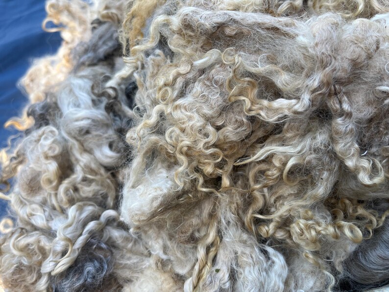 Wool Unprocessed Lovely White/ Silver Mohair Fleece, Polka Dot Mohair: Long Locks Mohair ...