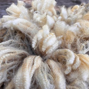 Discount Corriedale Fleece, White corriedale, white wool, raw wool, raw sheep wool, #611