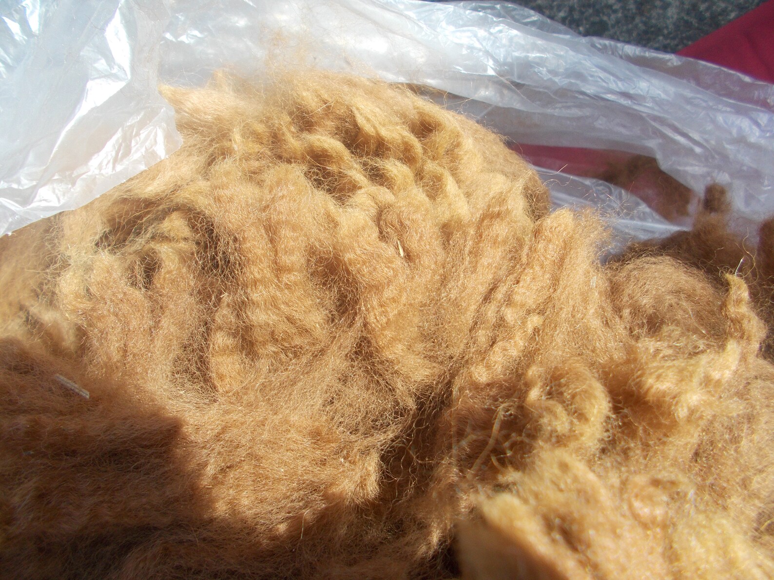 Alpaca Fleece Copper Alpaca Fleece Raw Alpaca Fiber Alpaca Etsy