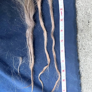 May include: Several strands of light brown hair, varying in length, are laid out on a blue surface. A yellow and white measuring tape is positioned next to the hair, showing lengths up to 10 inches.