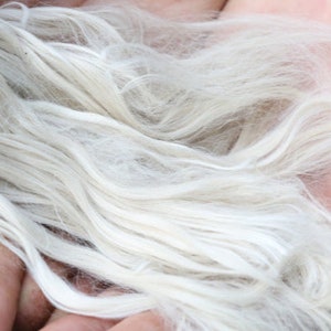 May include: Close-up of a handful of soft, white fibers. The fibers are long, wavy, and have a slightly textured appearance. The fibers are held in a person's hands, with the skin visible in the background. The fibers appear to be natural and could be used for crafting.
