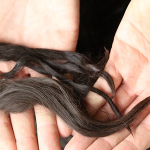 May include: Close-up of dark brown hair strands held in open hands. The hair appears to be long and flowing, with a natural texture. The lighting highlights the color and texture of the hair.