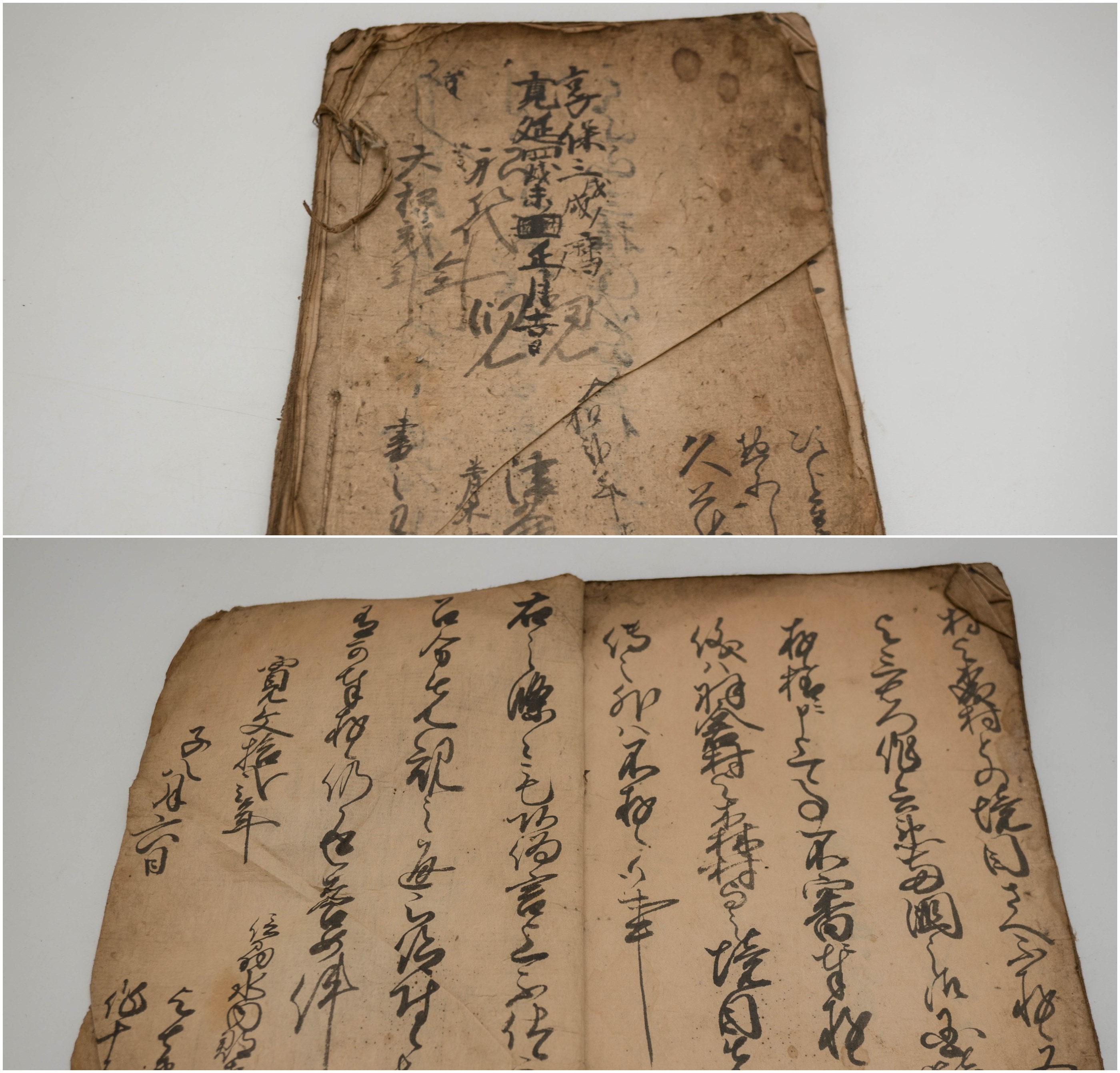 Japan floral sketchbook manuscript watercolor 1800 Washi paper